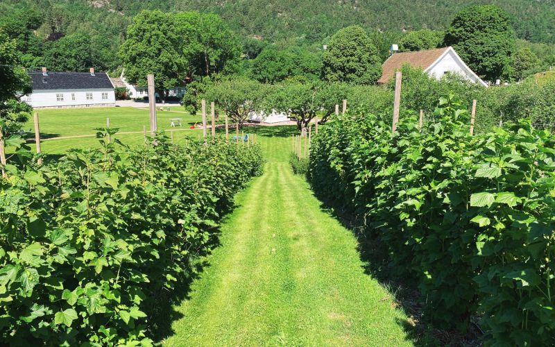 Boen Gård på Tveit i Kristiansand