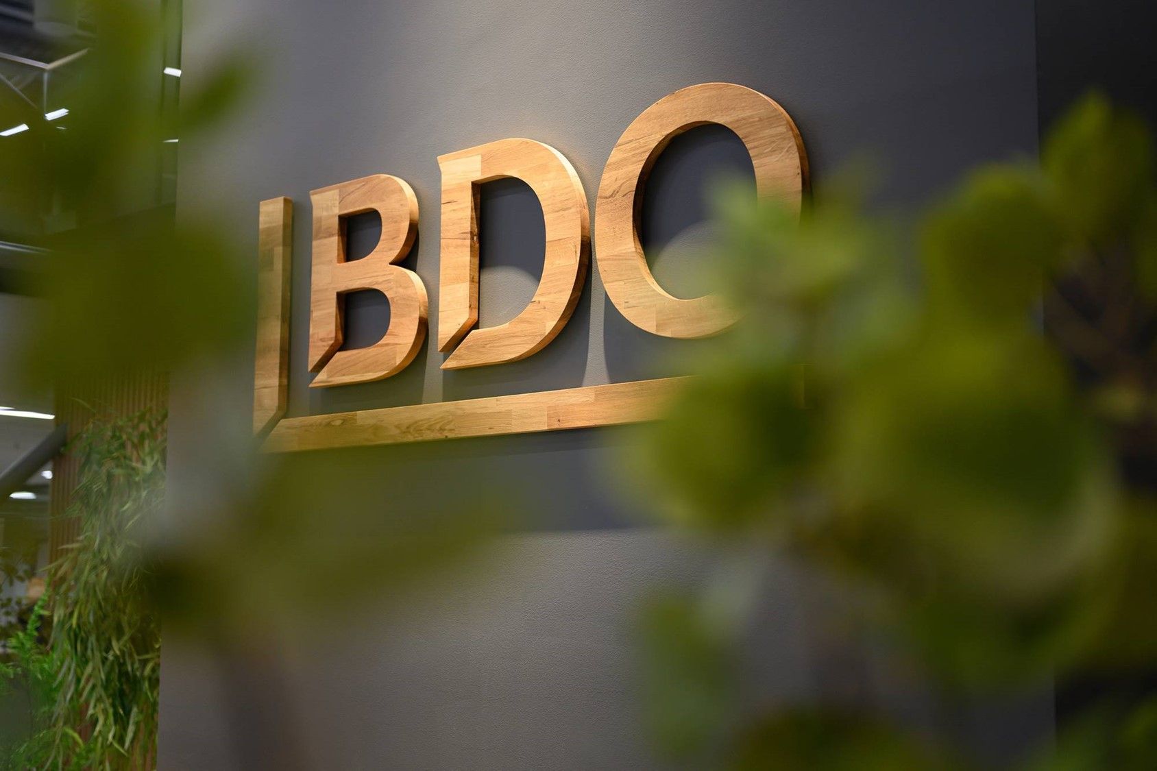 BDO-logo som henger på vegg med panter i forgrunnen