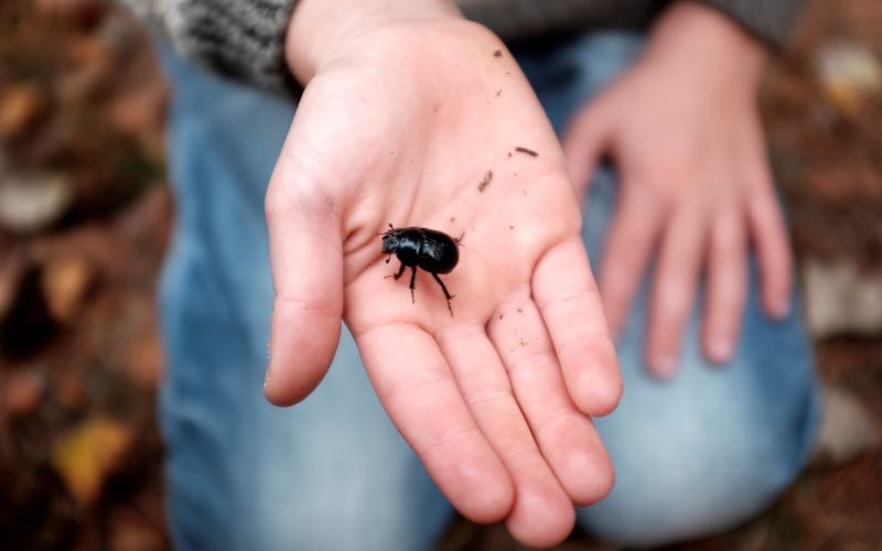 Foto: Kine Beate Øynes