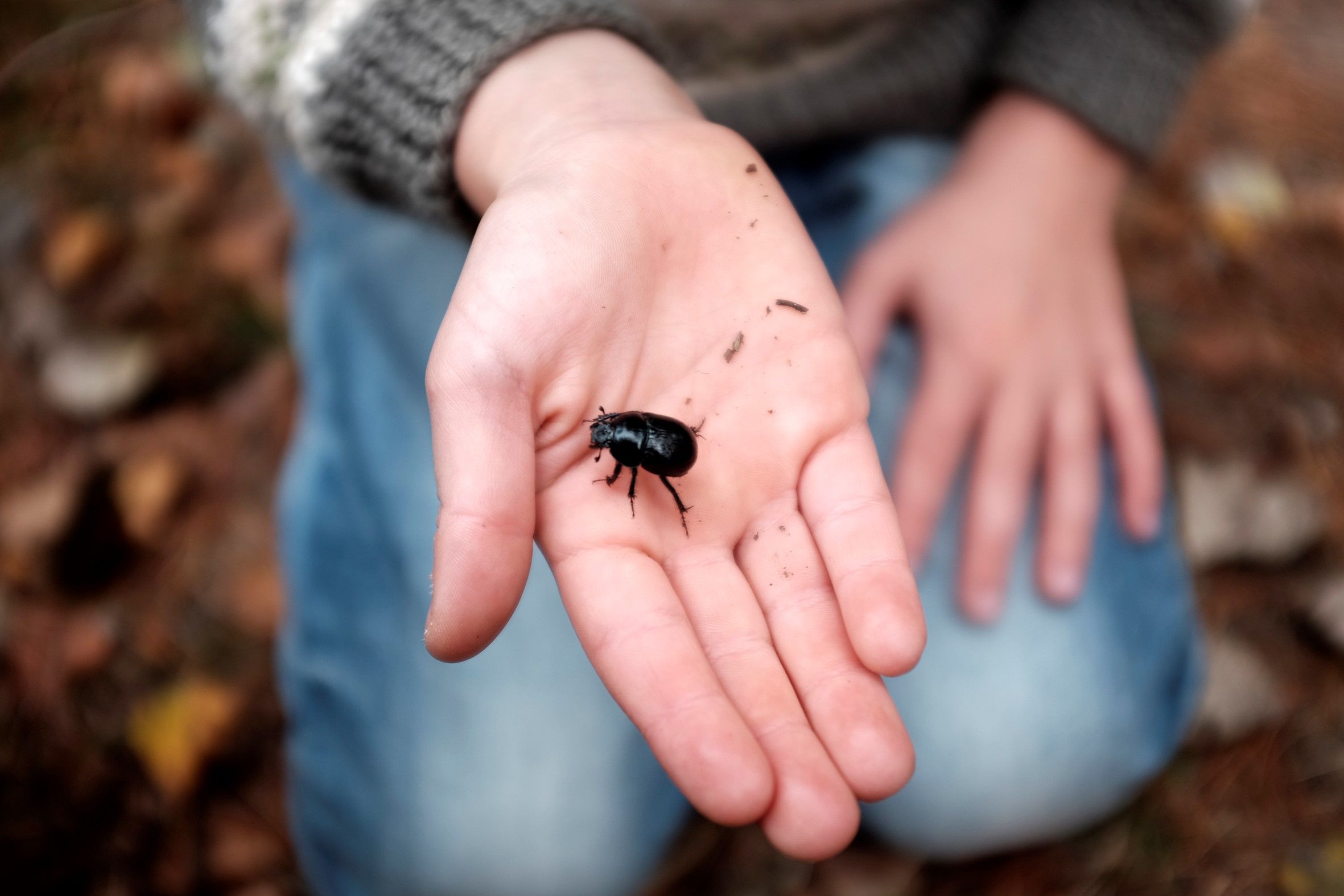 Foto: Kine Beate Øynes 